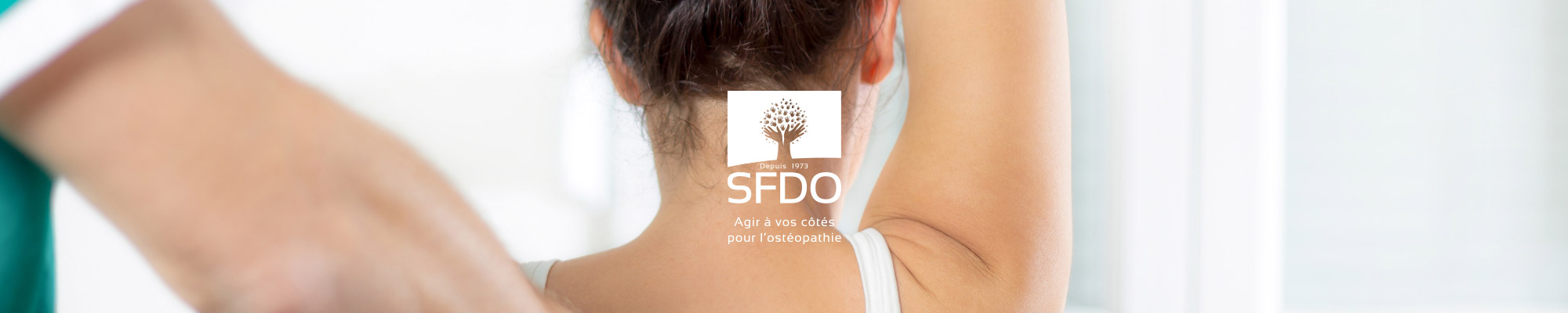 Identité Visuelle - SFDO (Syndicat Français Des Ostéopathes) 